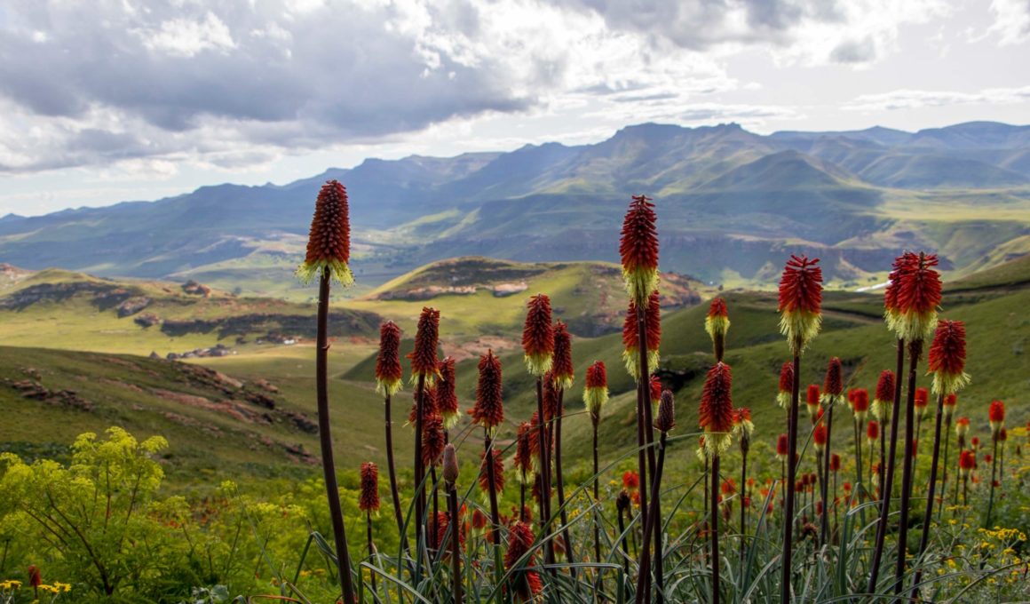 Raw Creatives Sehlabathebe, Lesotho