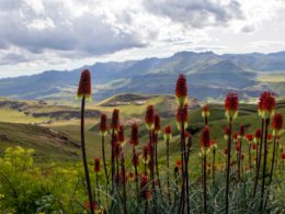 Raw Creatives Sehlabathebe, Lesotho