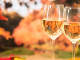 Wine tasting glasses