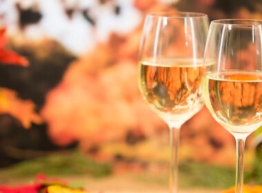 Wine tasting glasses