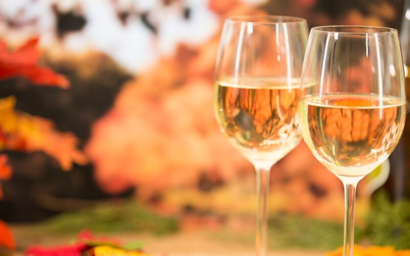 Wine tasting glasses